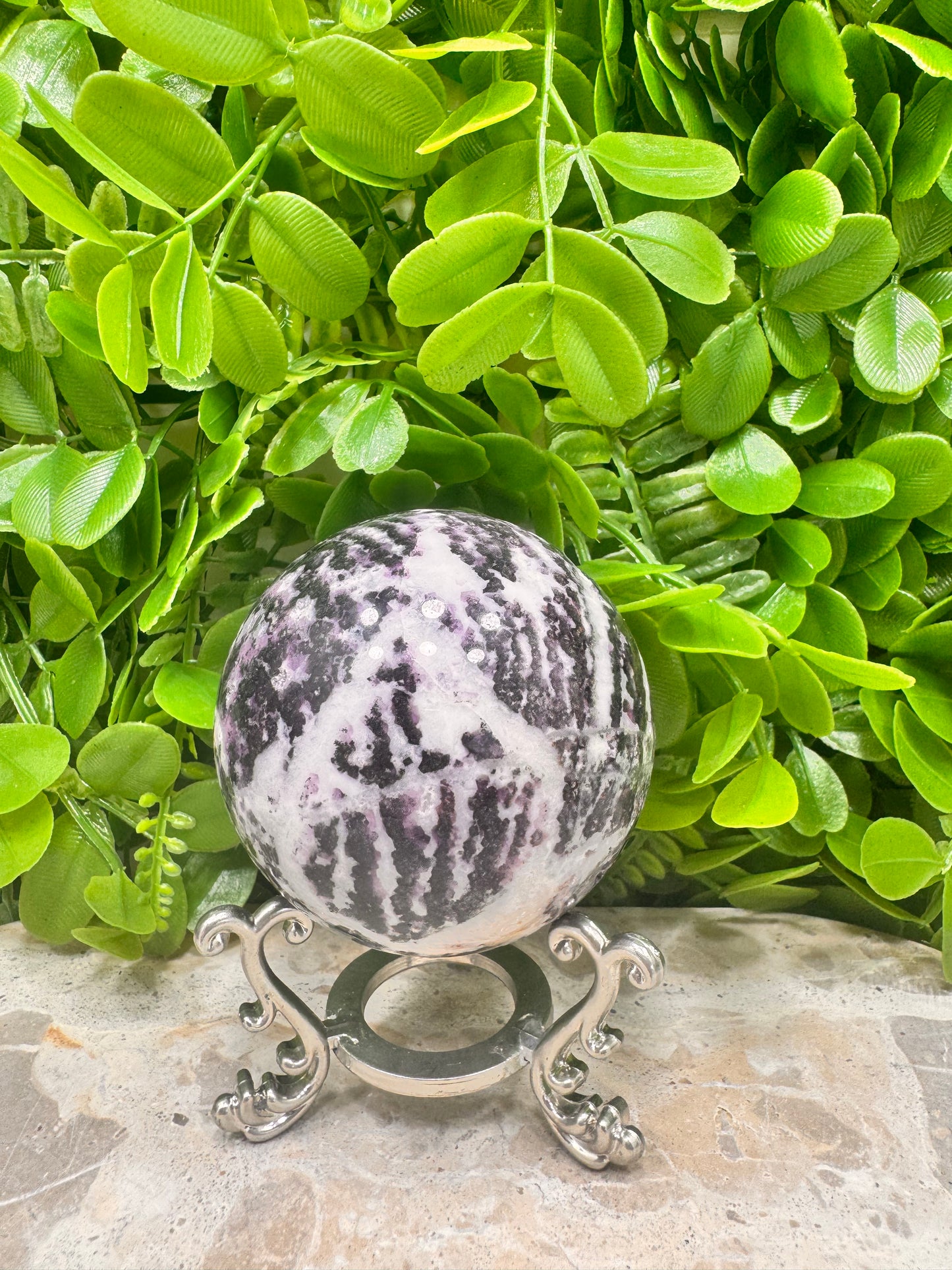 Zebra Jasper Sphere 488g