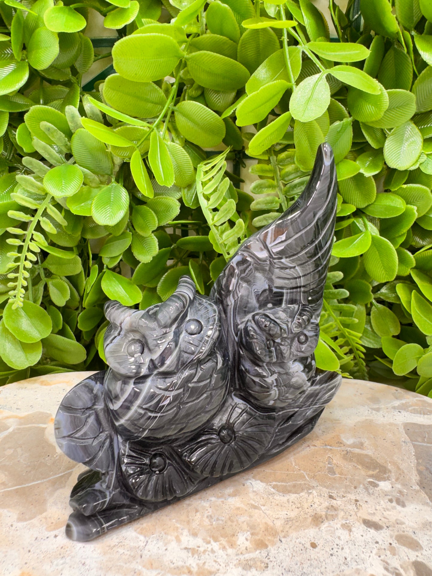 Black Agate Twin Owl Carving 404g