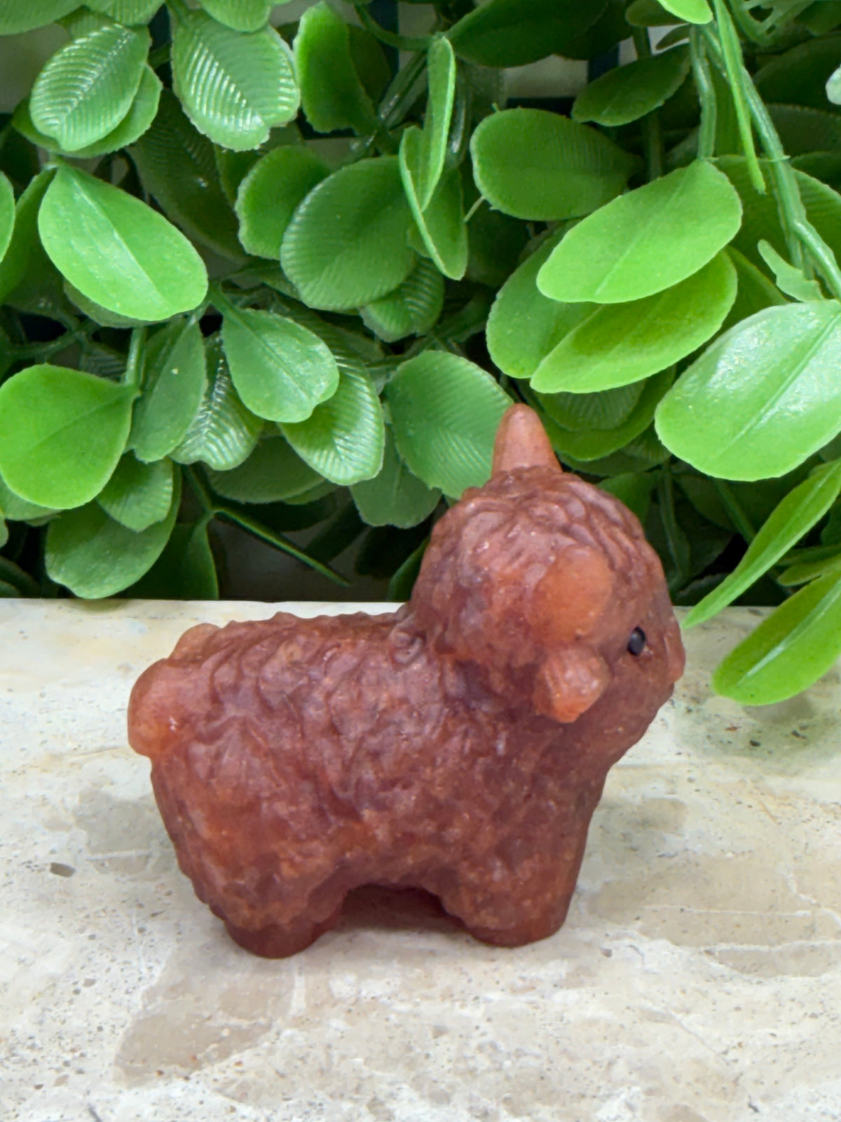 Sunstone Highland Cow | Joy • Confidence • Abundance