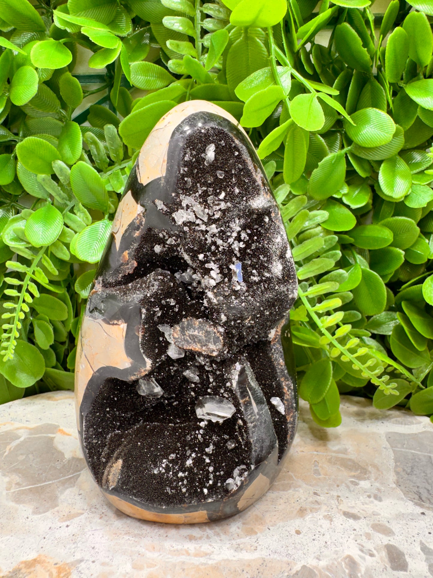 Septarian Freeform 1108g