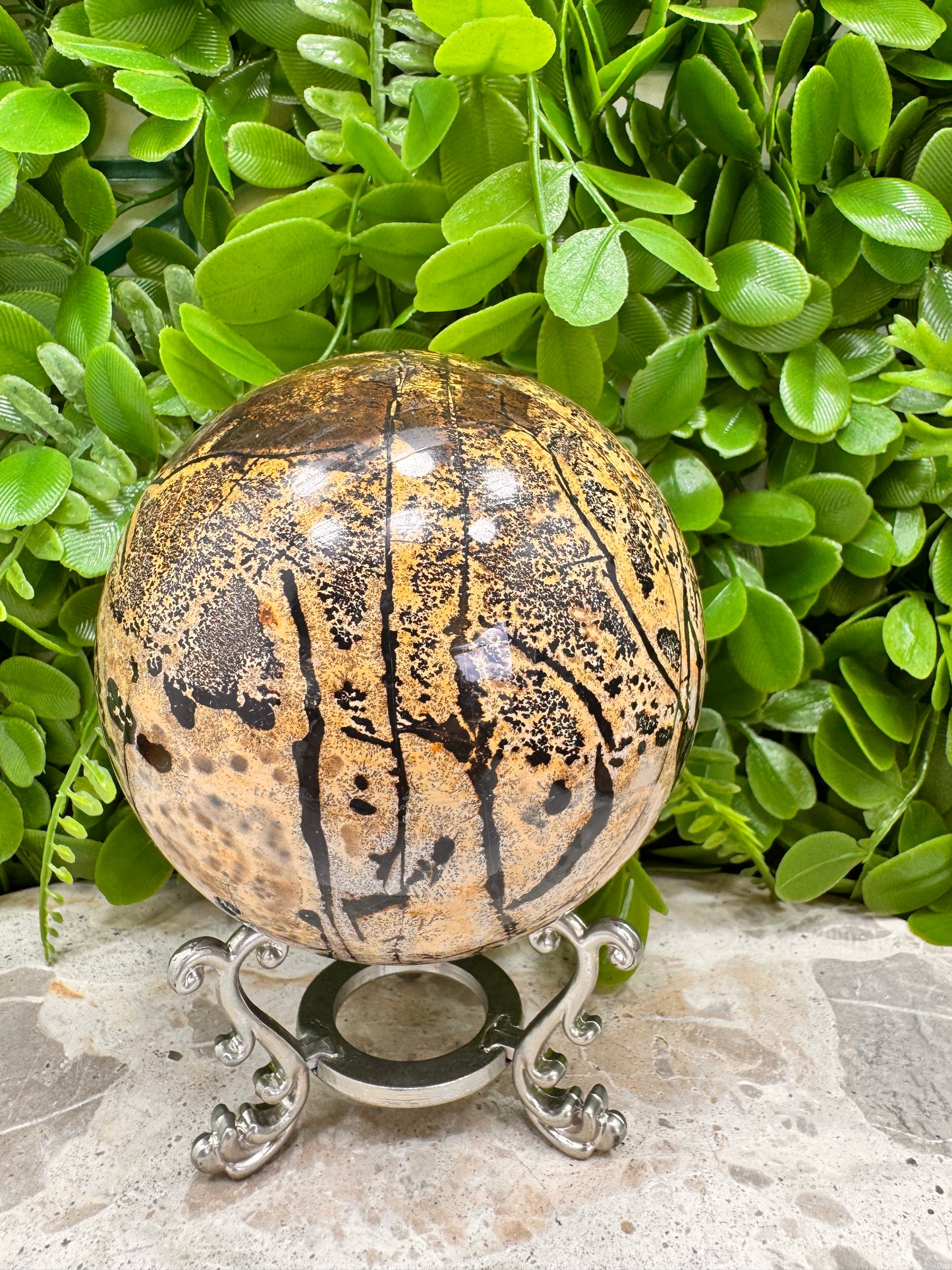 Picture Jasper Sphere 1128g