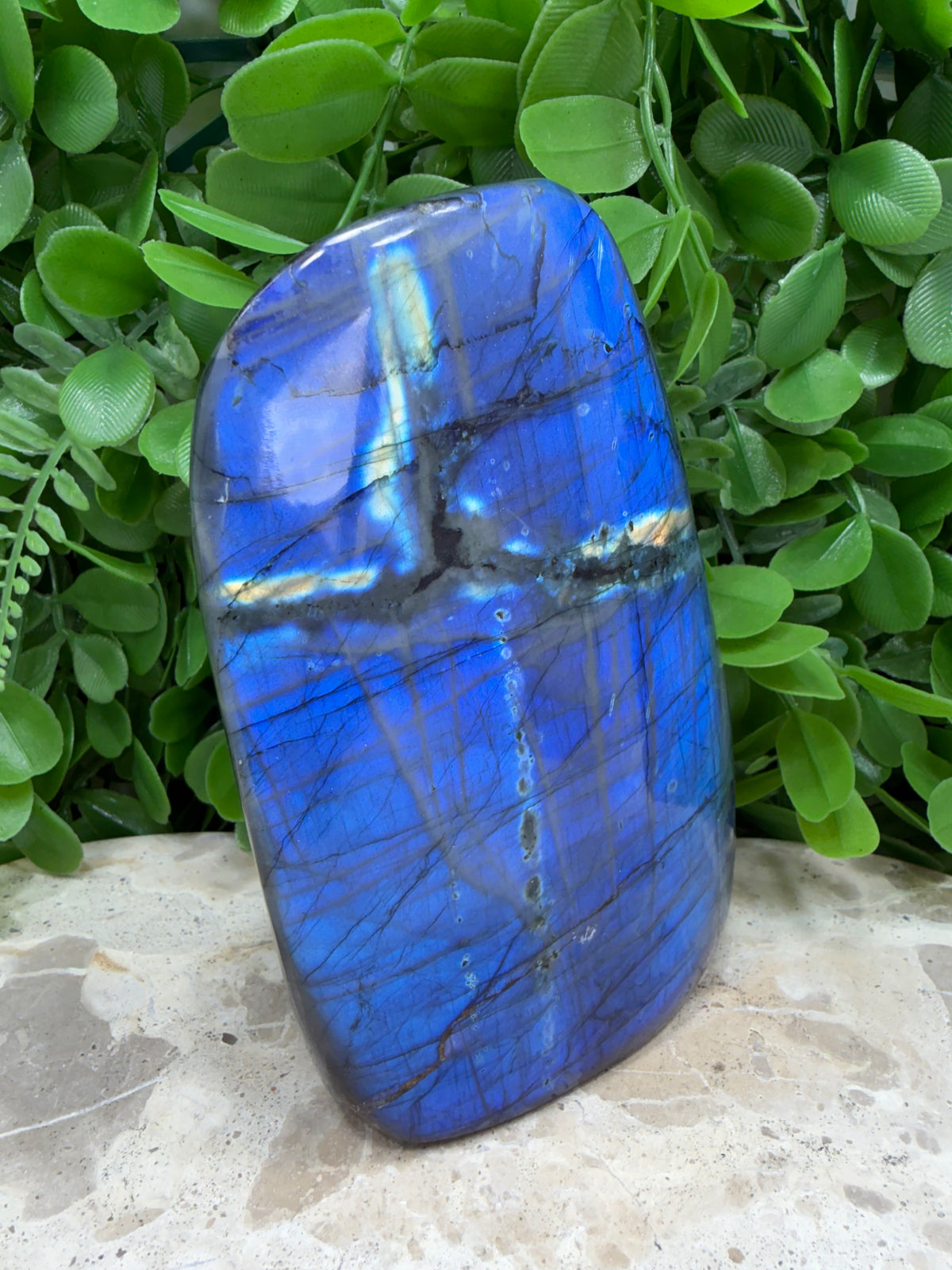Labradorite Freeform | Protection • Intuition • Transformation