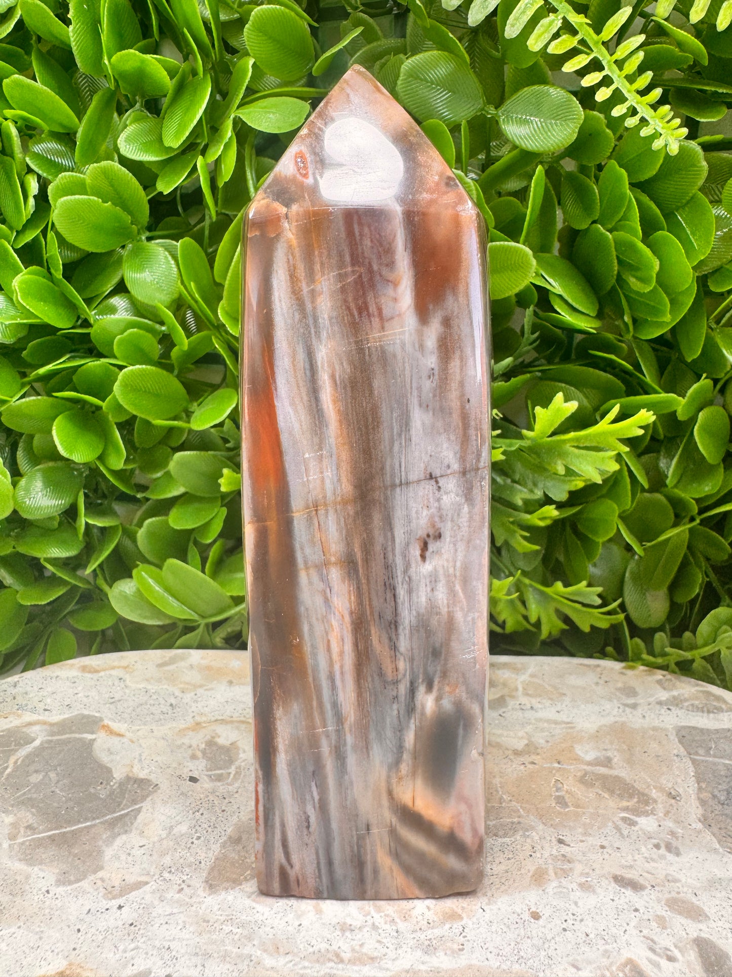 Petrified Wood Freeform 1074g