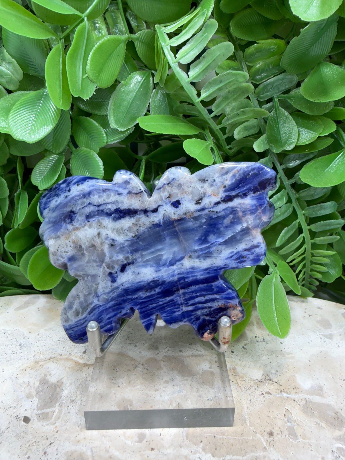 Sodalite Butterfly | Intuition • Communication • Clarity