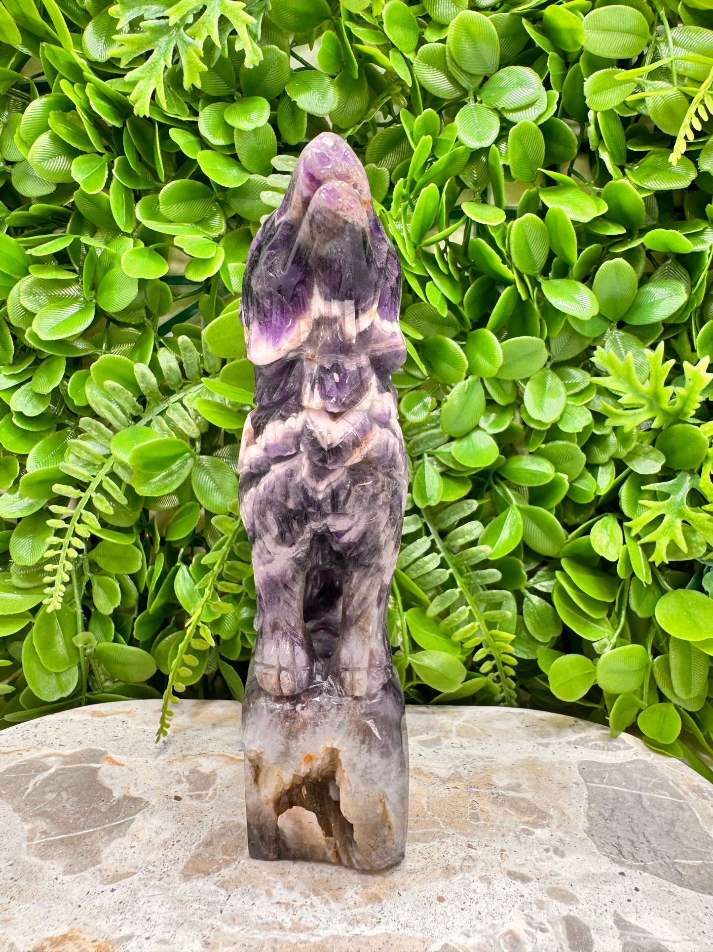 Chevron Amethsyt Wolf 920g