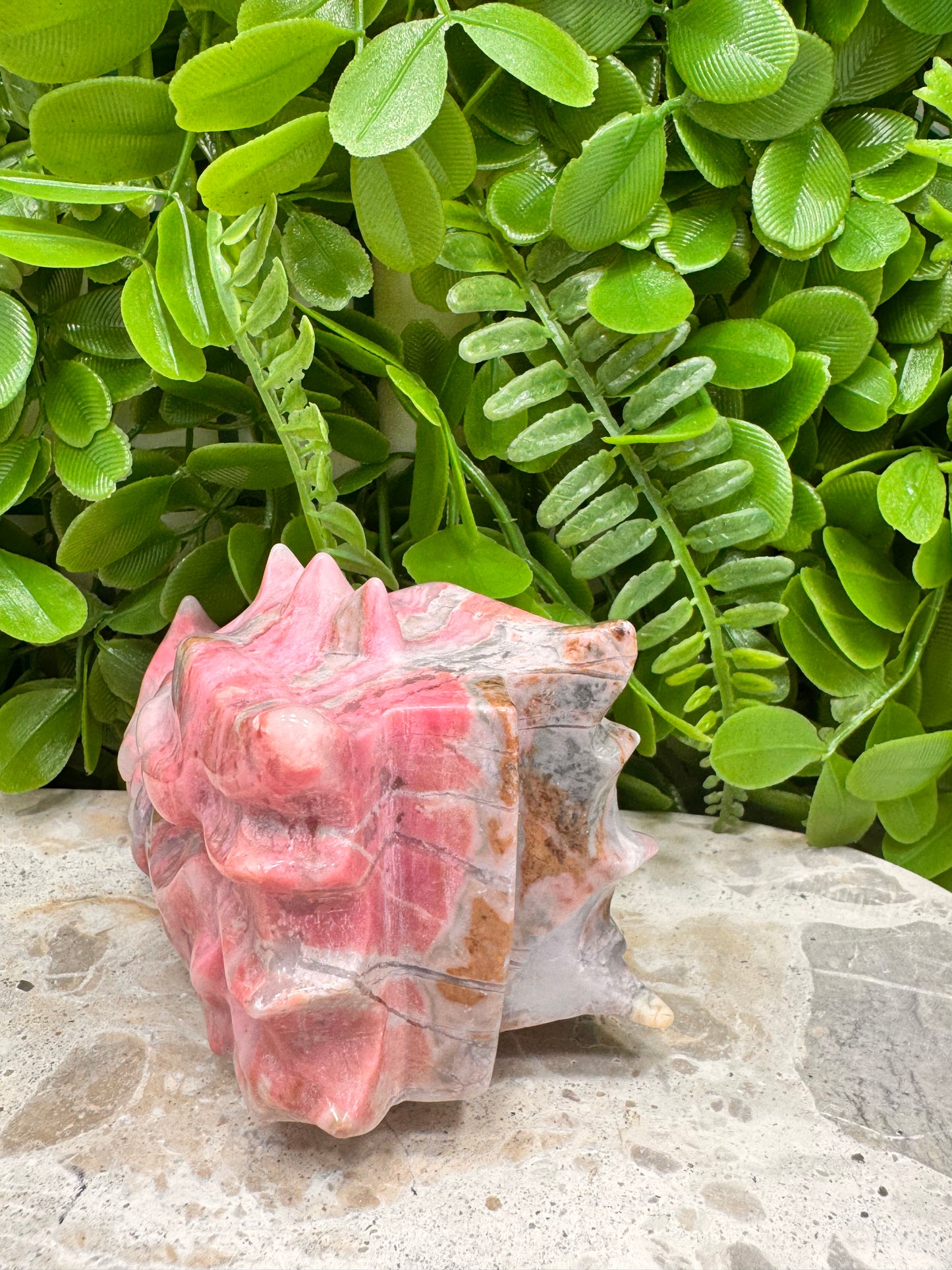 Rhodonite Dragon Skull 744g