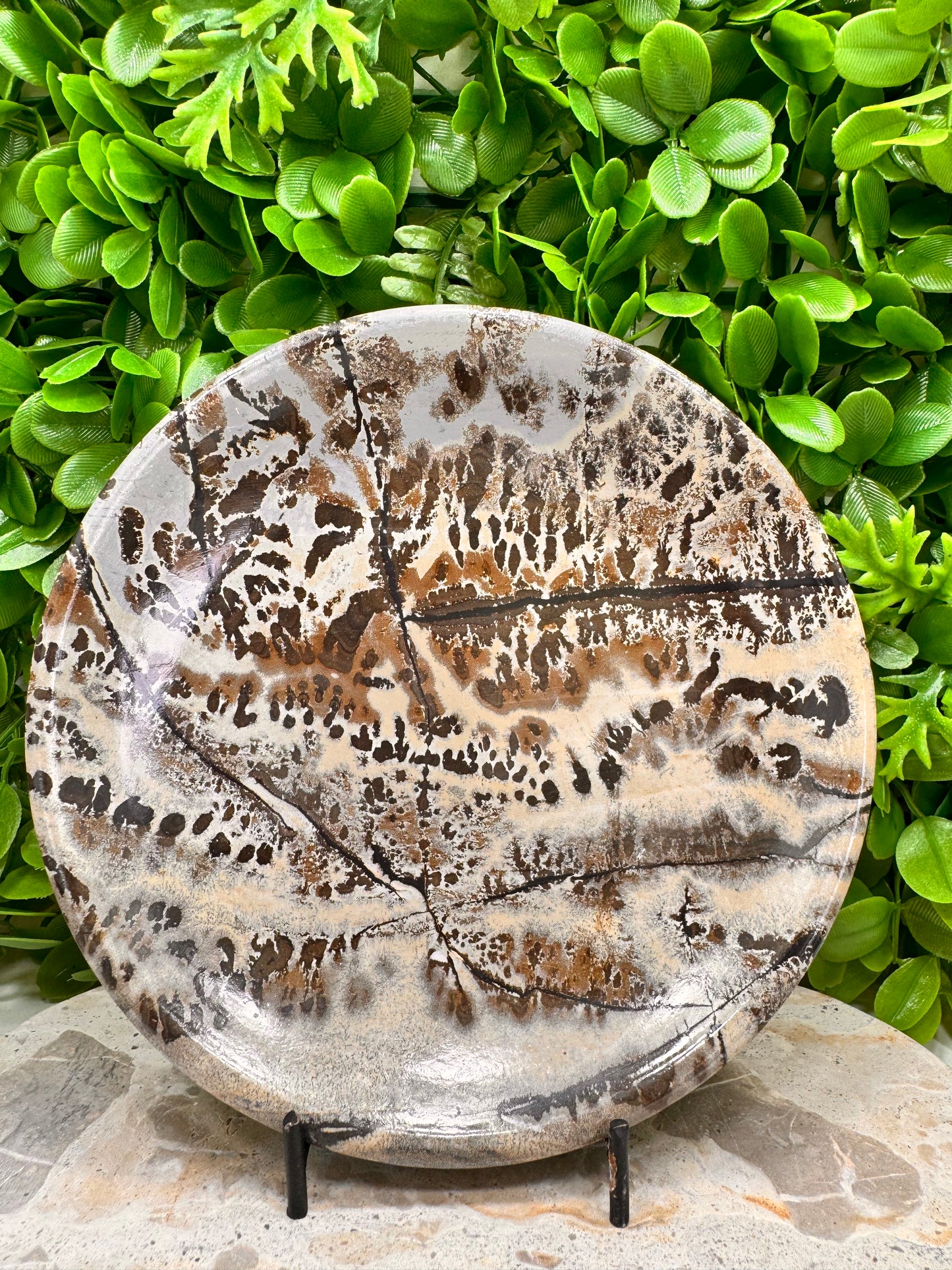 Picture Jasper Plate 710g