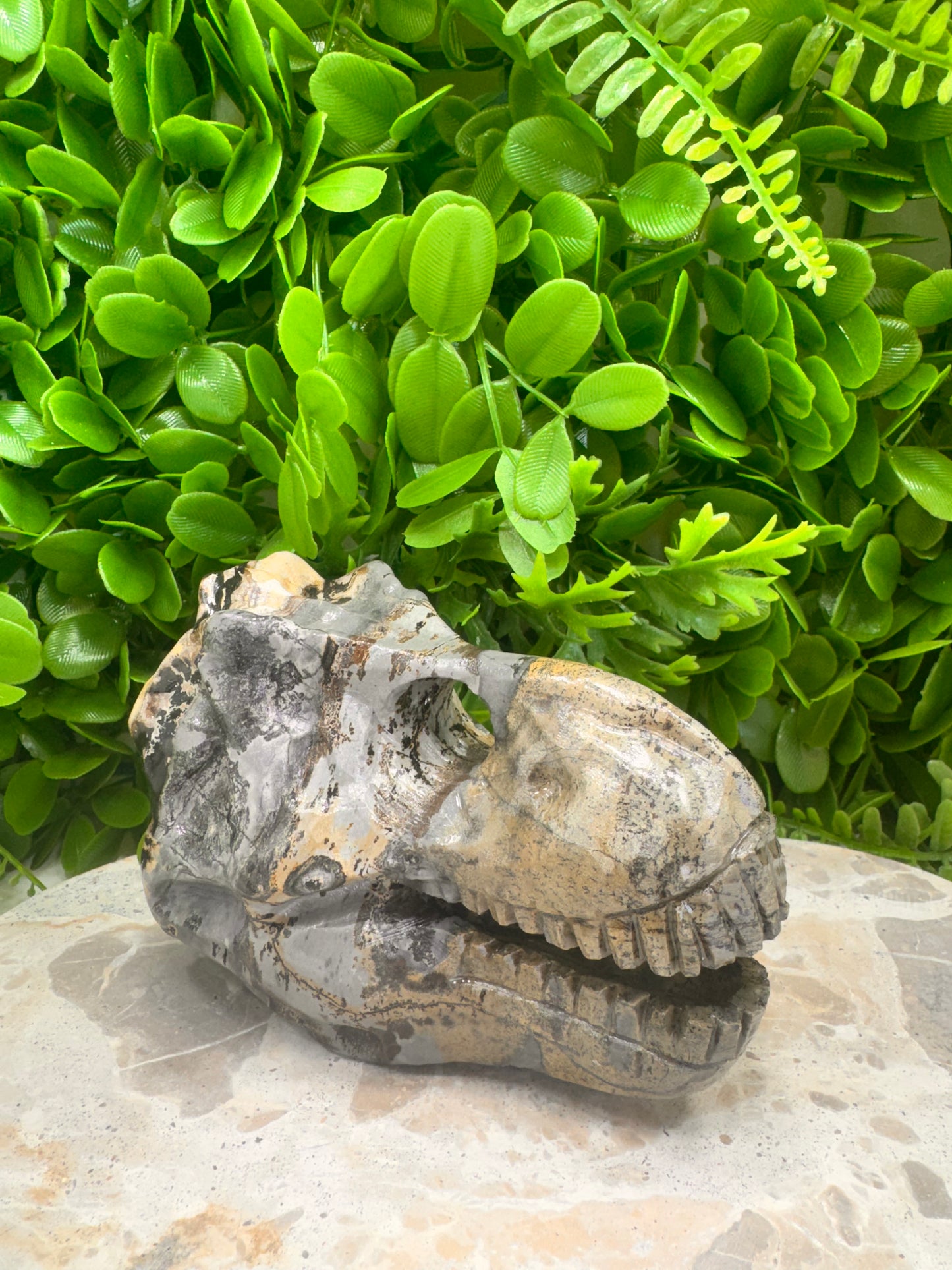 Picture Jasper Dinosaur Skull 724g