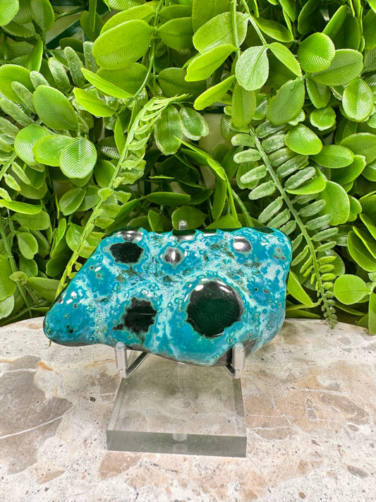 Malachite with Chryscolla Freeform 238g