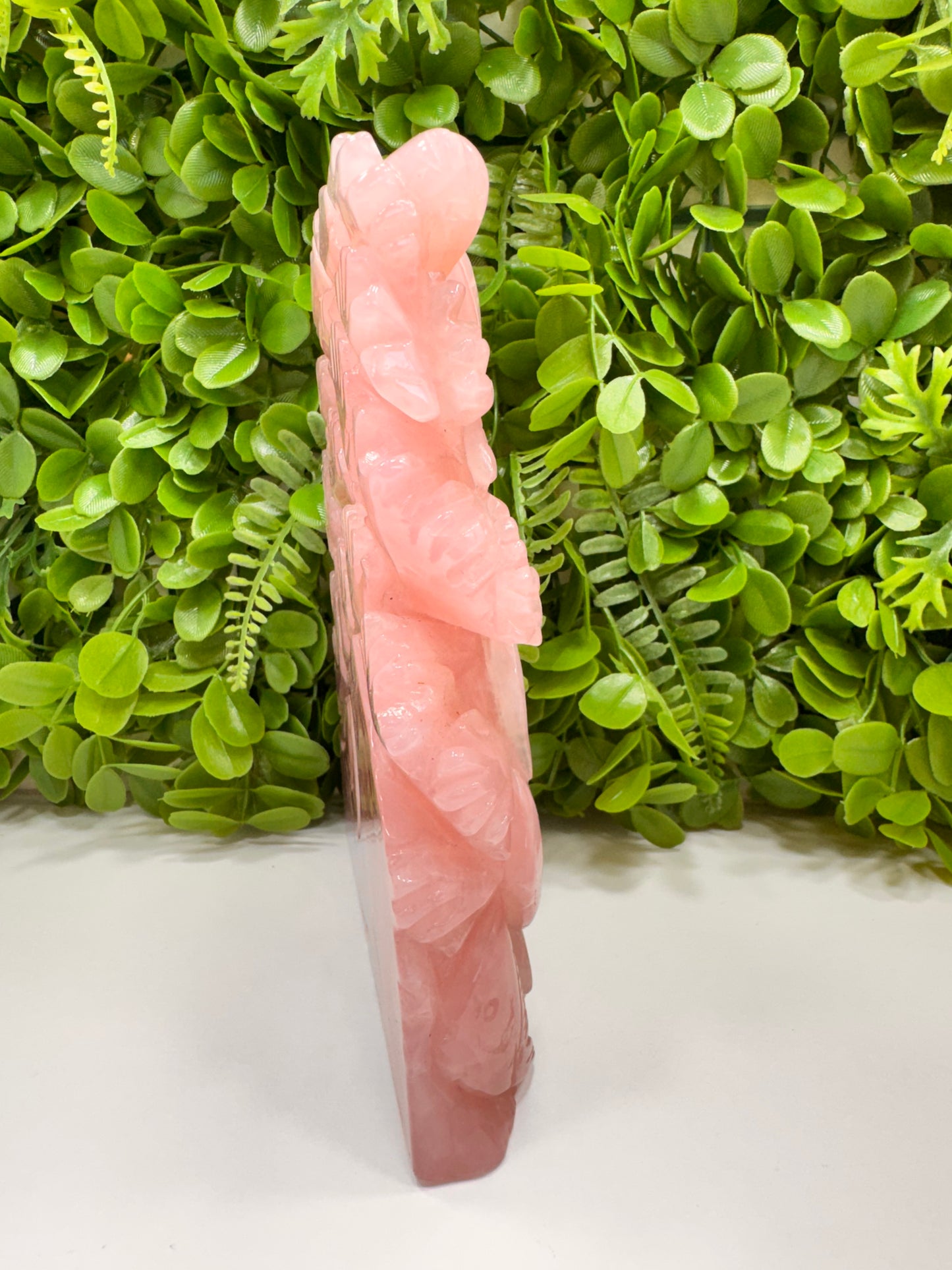 Rose Quartz Sea Life 1982g