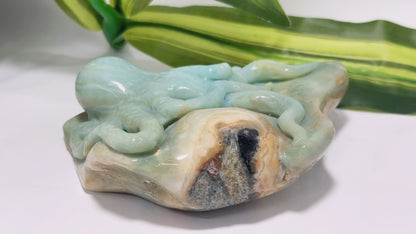 Amazonite Octopus Carving 600g