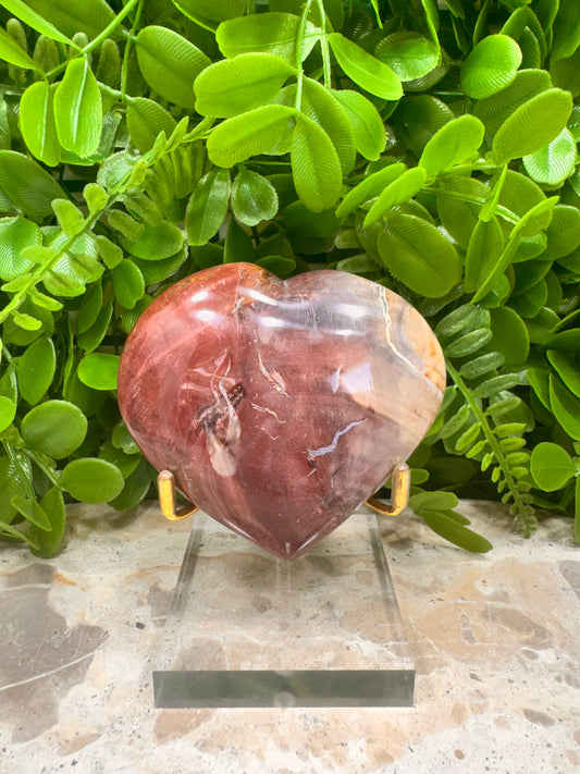 Petrified Wood Heart 252g