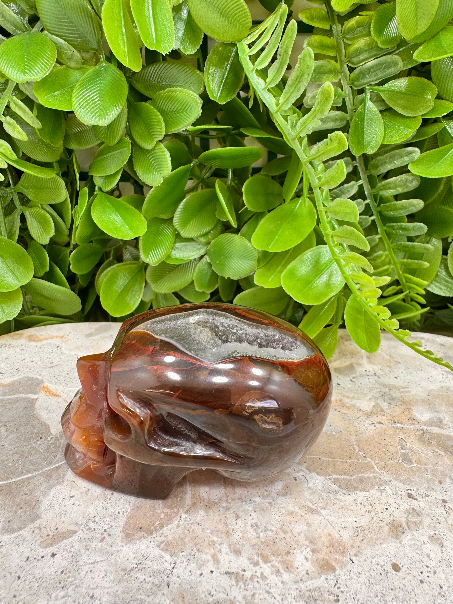 Agate Druzy Skull 218g