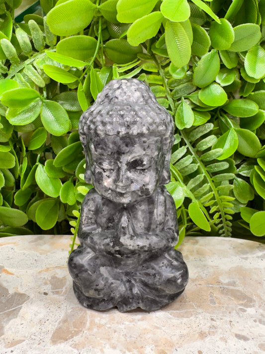 Larvikite Buddha 456g