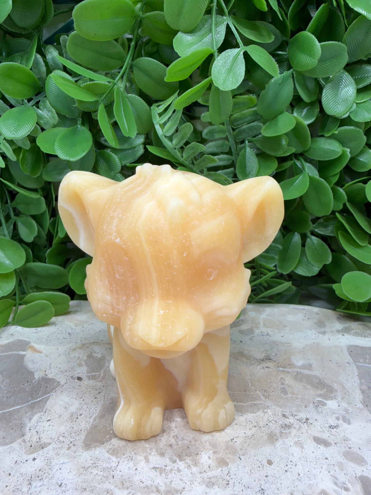 Orange Banded Calcite Lion Cub 574g
