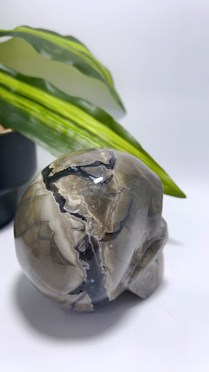 Volcanic Agate Skull 1156g
