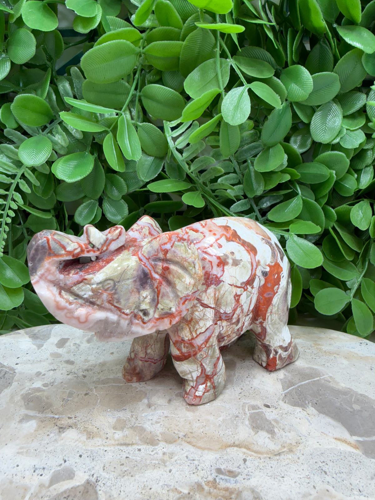 Money Agate Elephant 464g | Abundance • Prosperity • Success