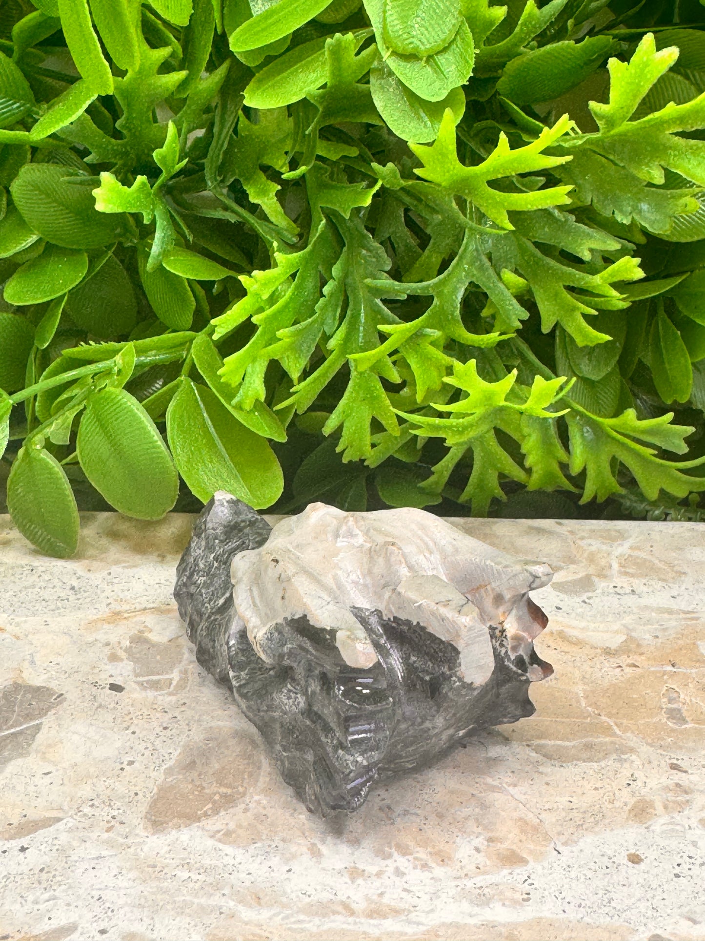 Jasper Dragon Skull 120g
