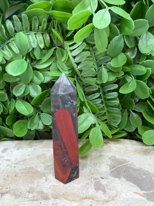 African Bloodstone Pt 108g | Strength • Courage • Vitality