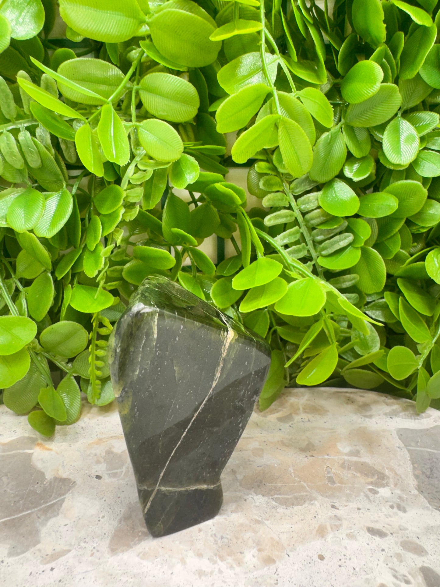 Nephrite Jade Freeform 248g
