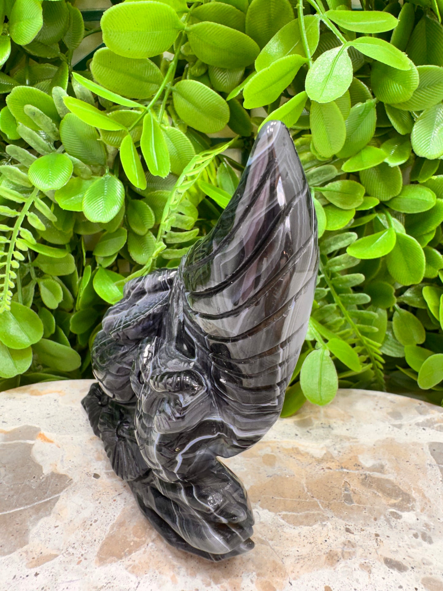 Black Agate Twin Owl Carving 404g
