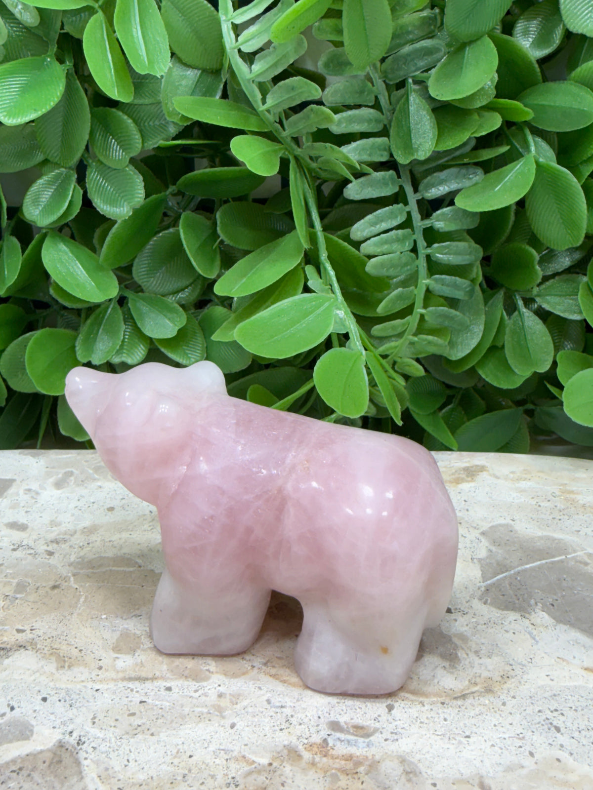 Rose Quartz Bear 180g | Love • Compassion • Healing