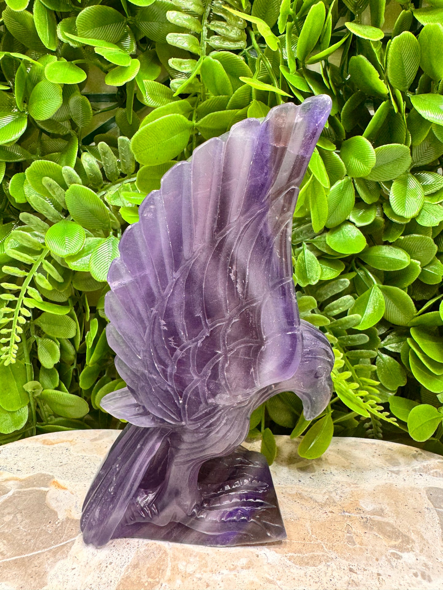 Fluorite Eagle 728g