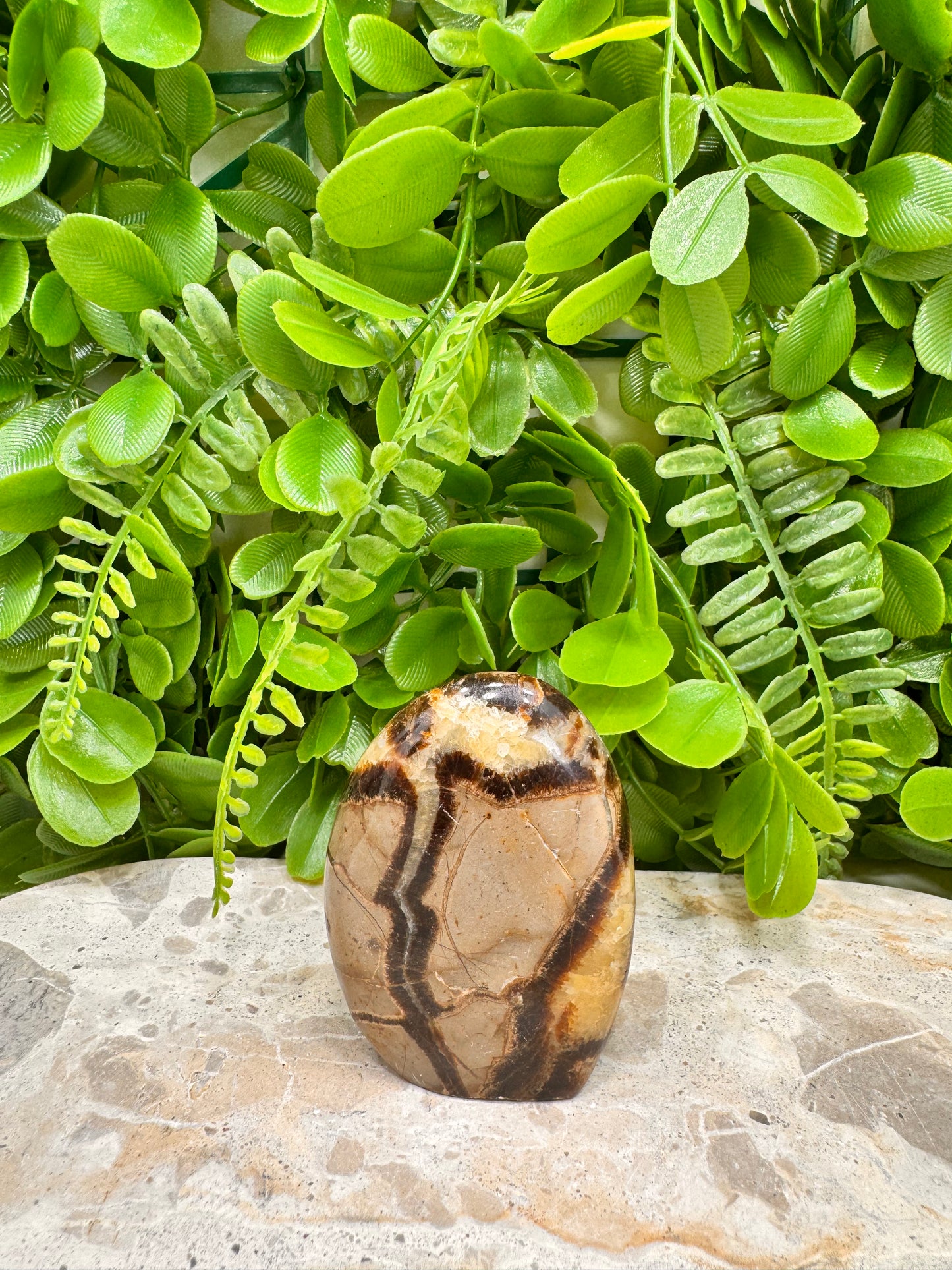 Septarian Freeform 146g