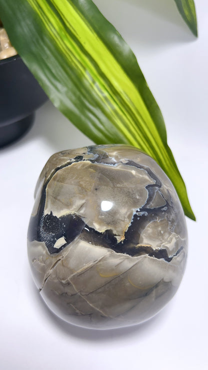 Volcanic Agate Skull 1156g
