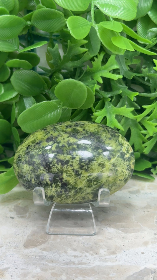 Mixed Serpentine Palm Stone 144g
