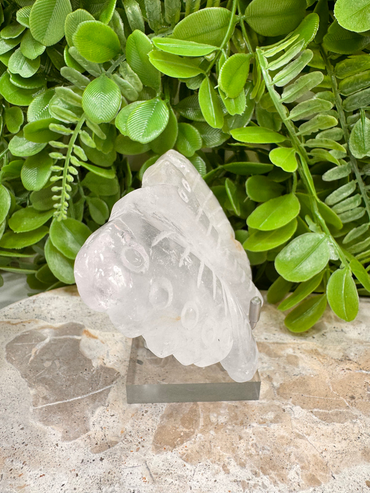 Clear Quartz Butterfly | Clarity • Amplification • Healing