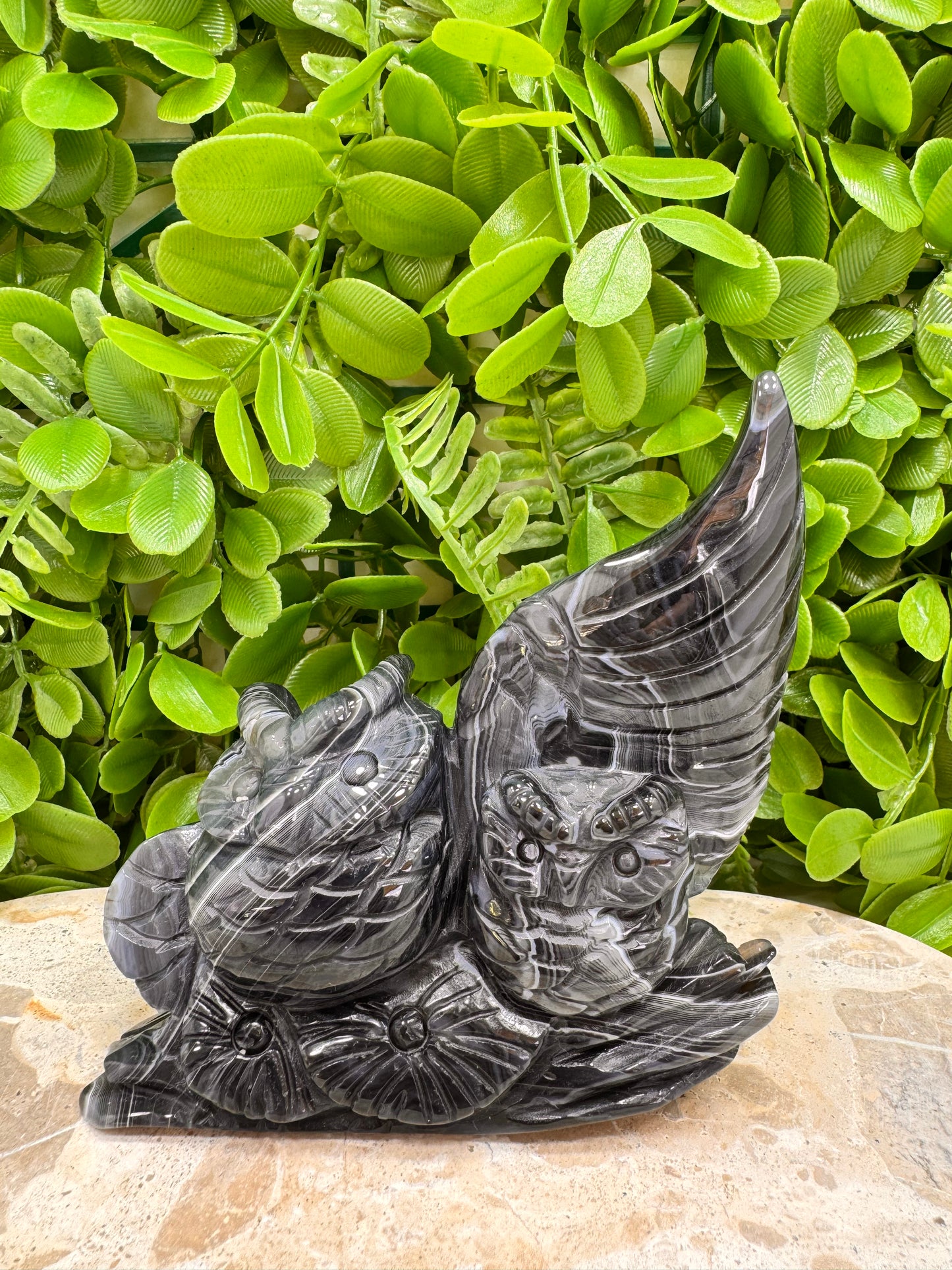 Black Agate Twin Owl Carving 404g