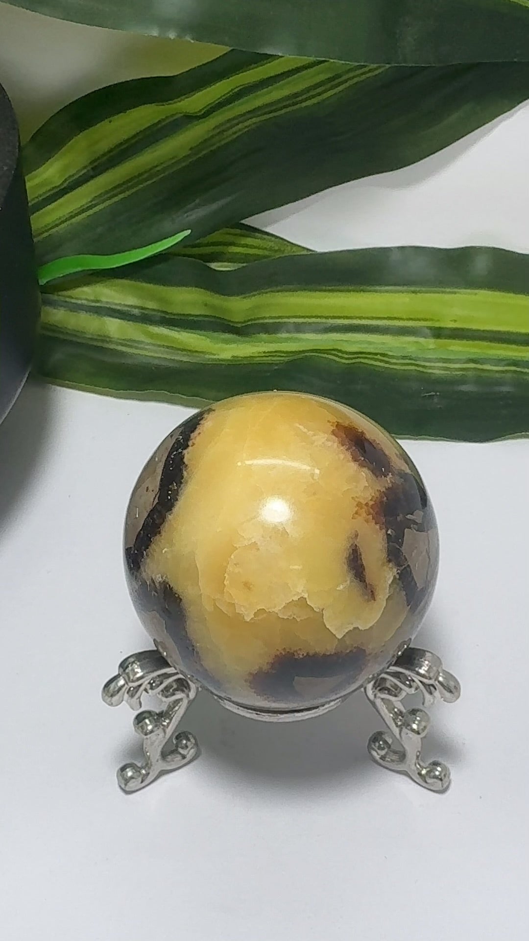 Septarian Sphere 302g