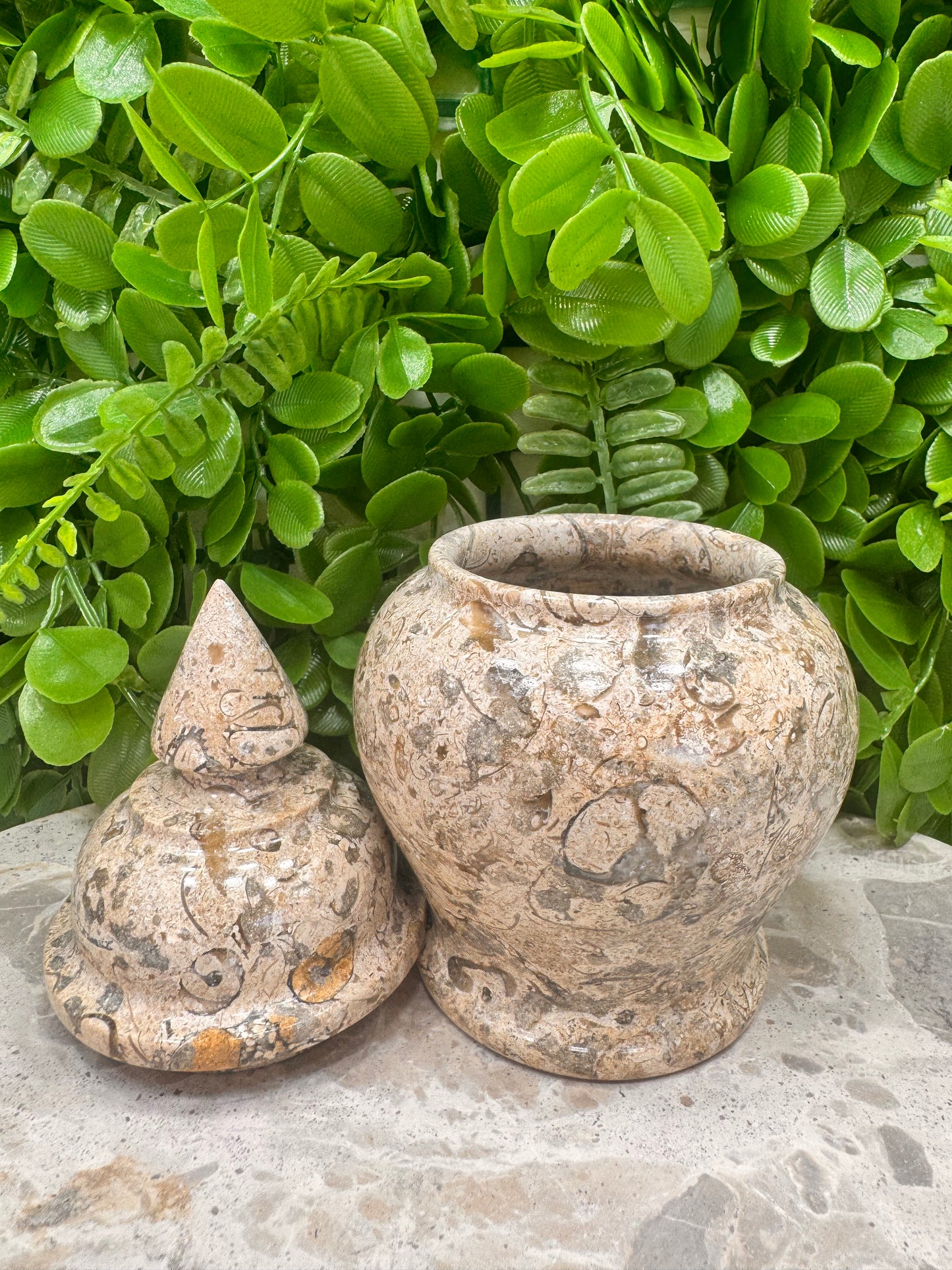 Shell Jasper Jar with Lid 598g