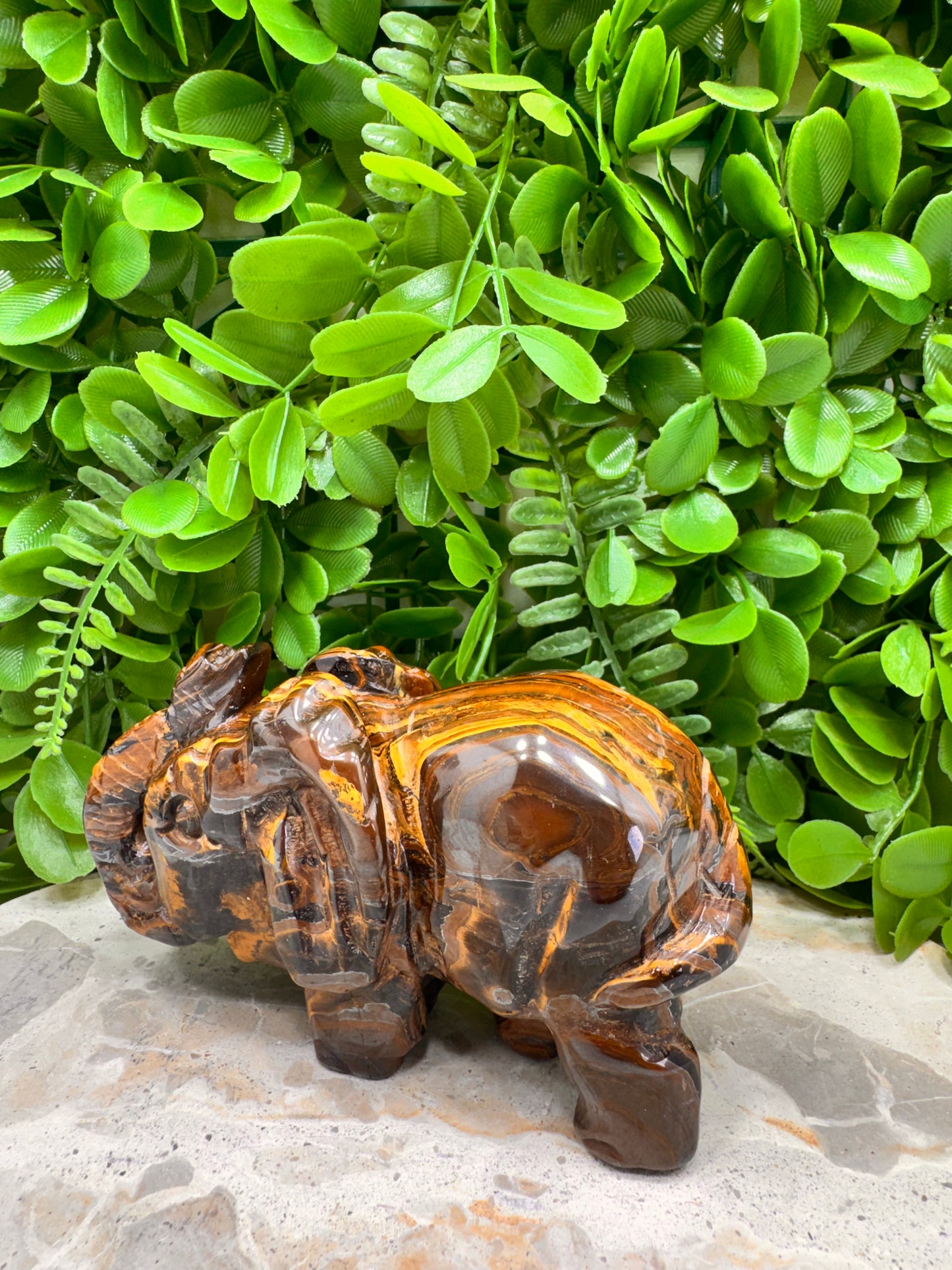 Tiger Eye/Tiger Ore Elephant 704g