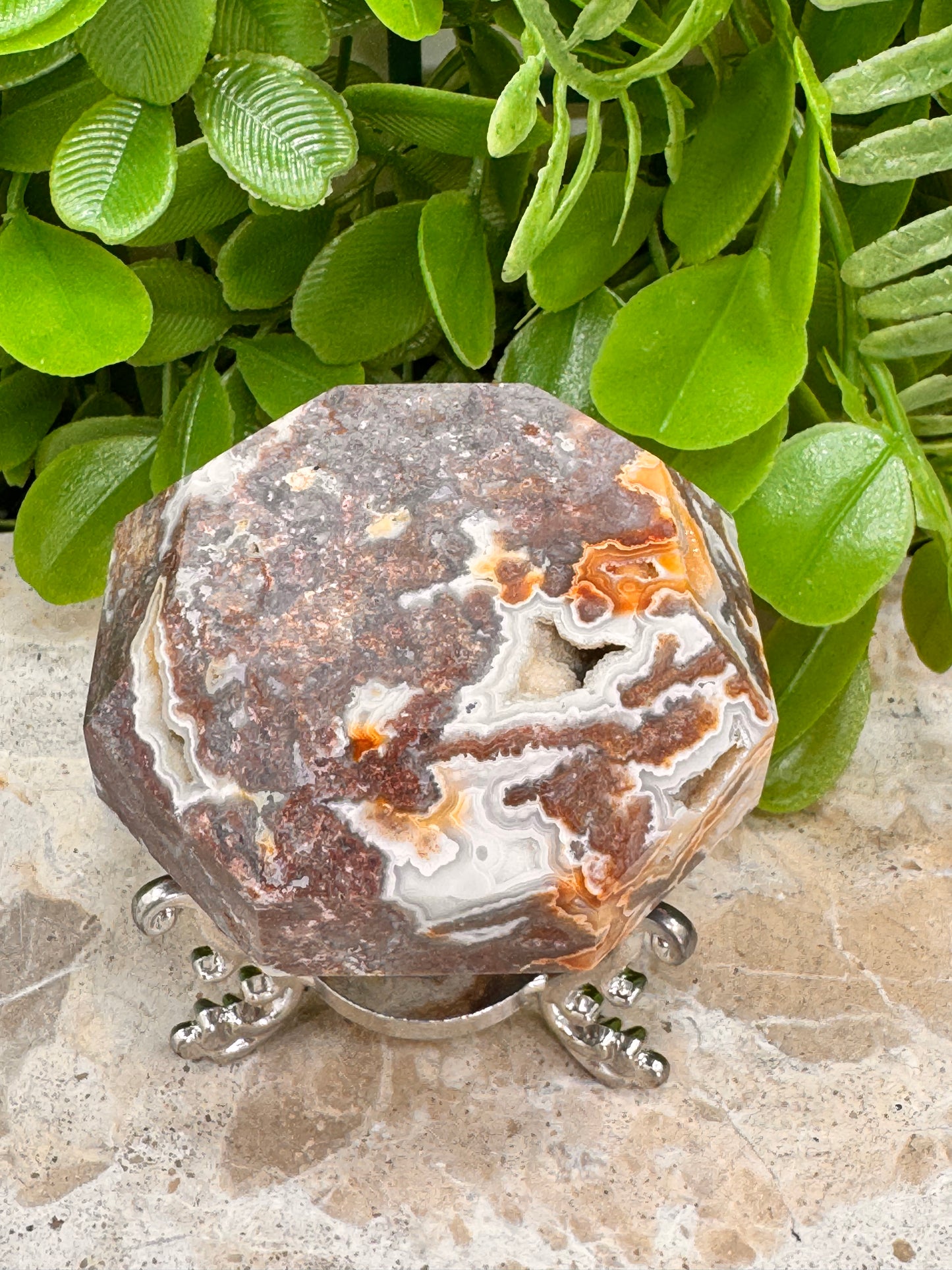 Mexican Agate Diamond 214g