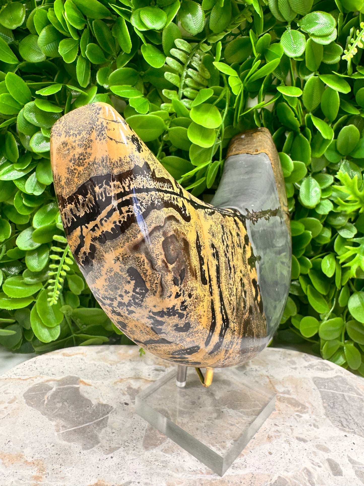 Picture Jasper Moon 1336g