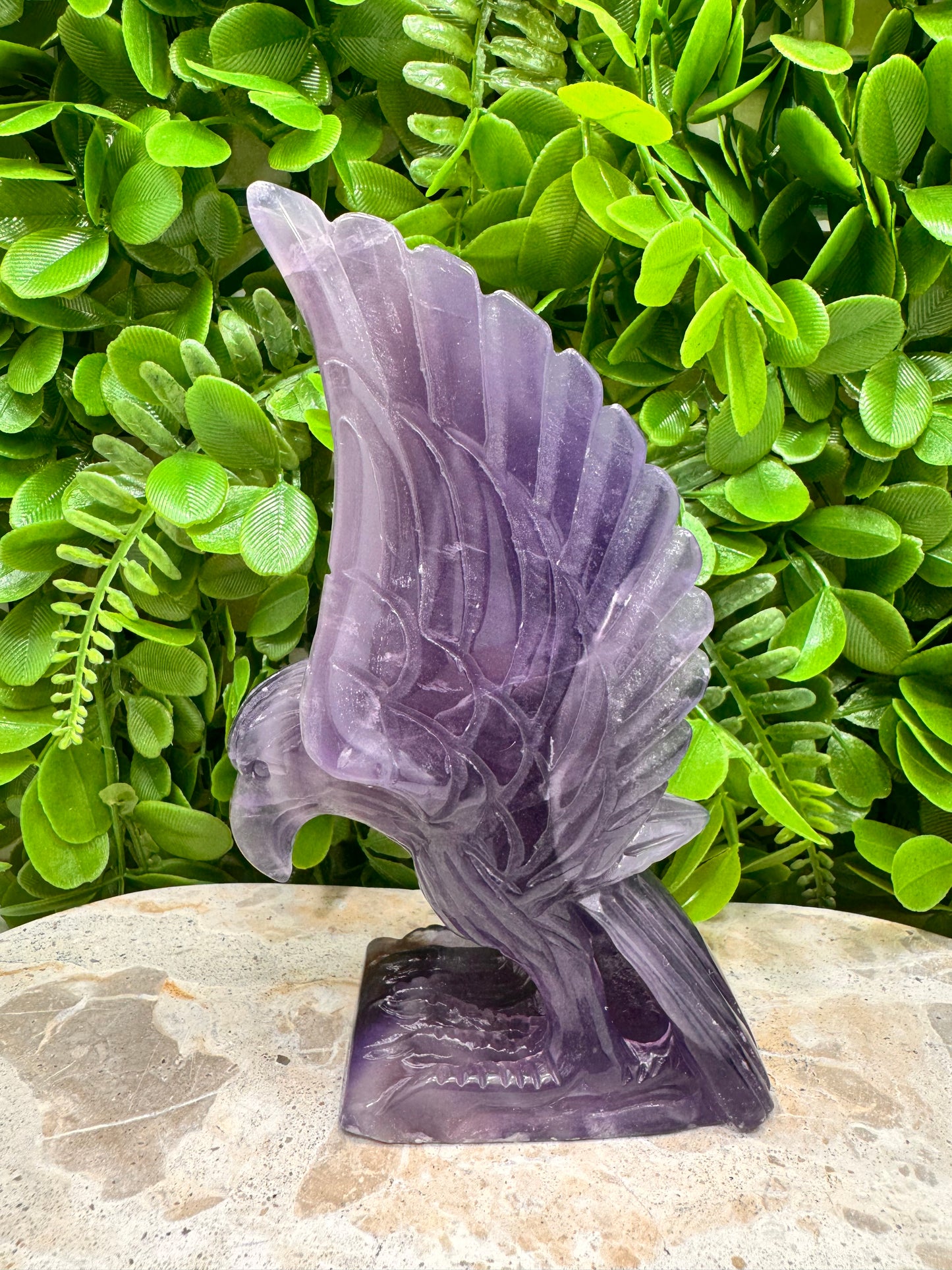 Fluorite Eagle 728g