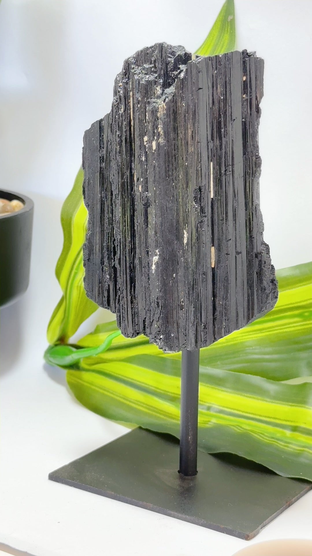 Tourmaline on Stand 1114g