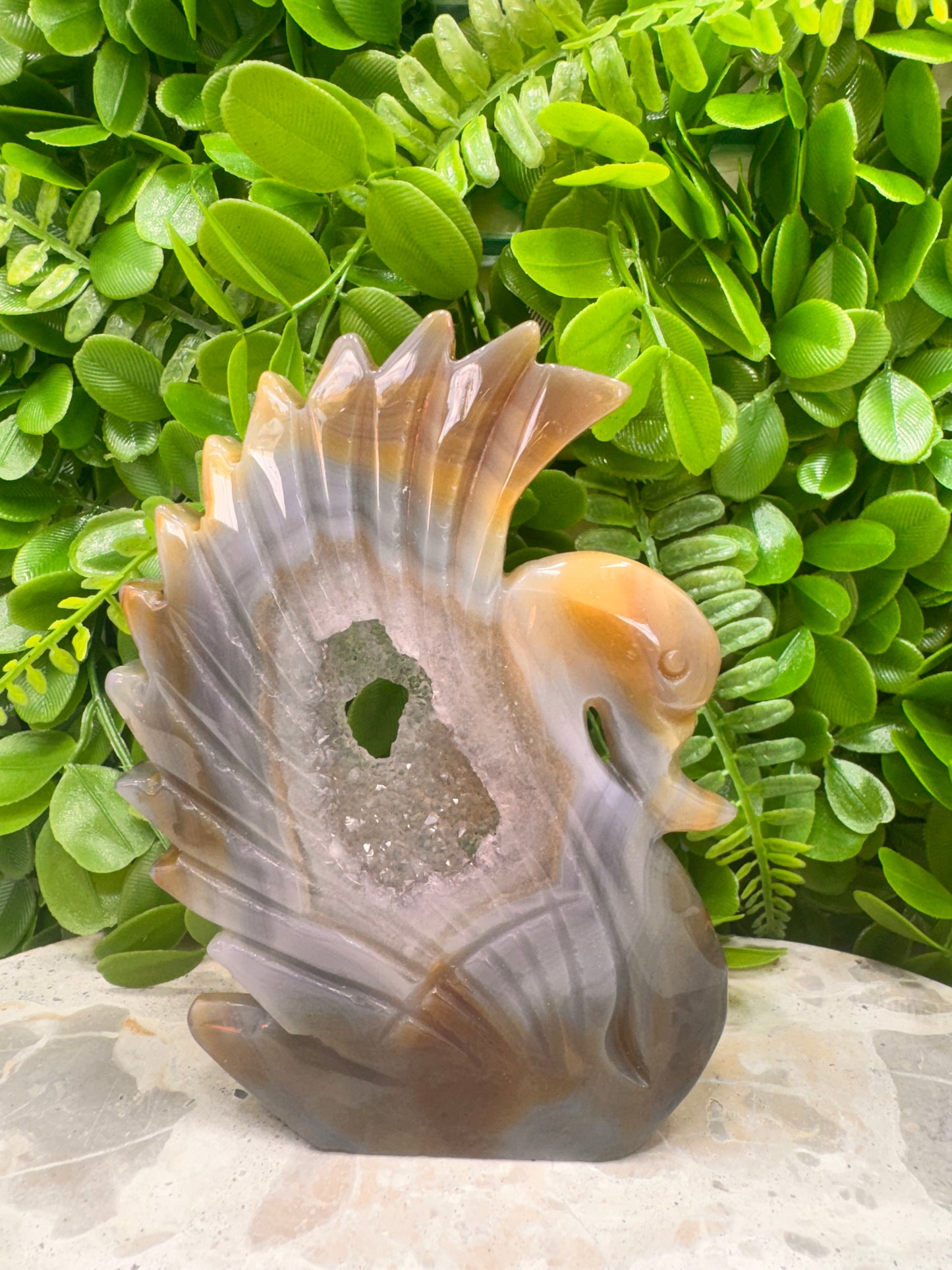Agate Druzy Swan 312g