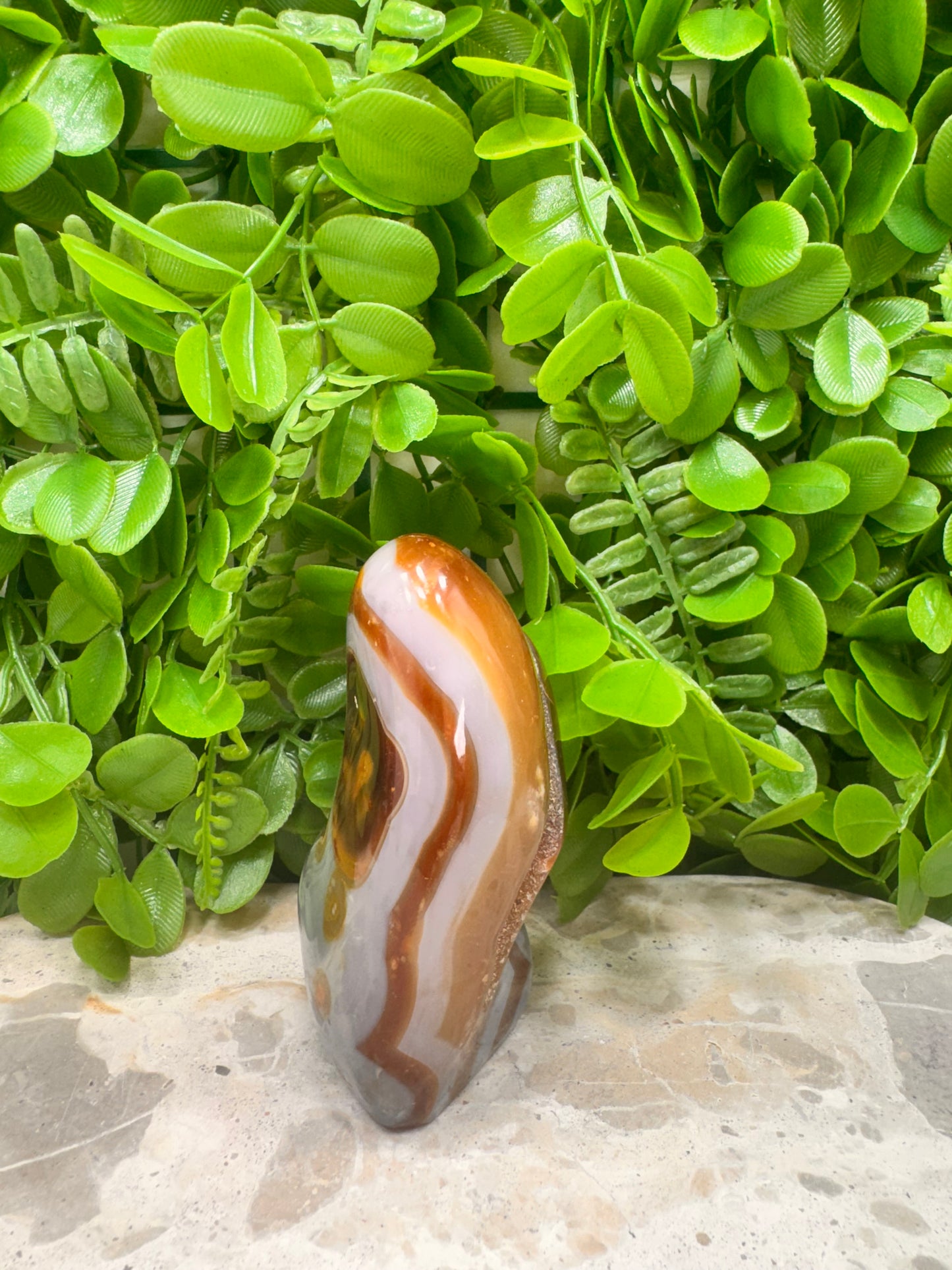 Carnelian Freeform 346g