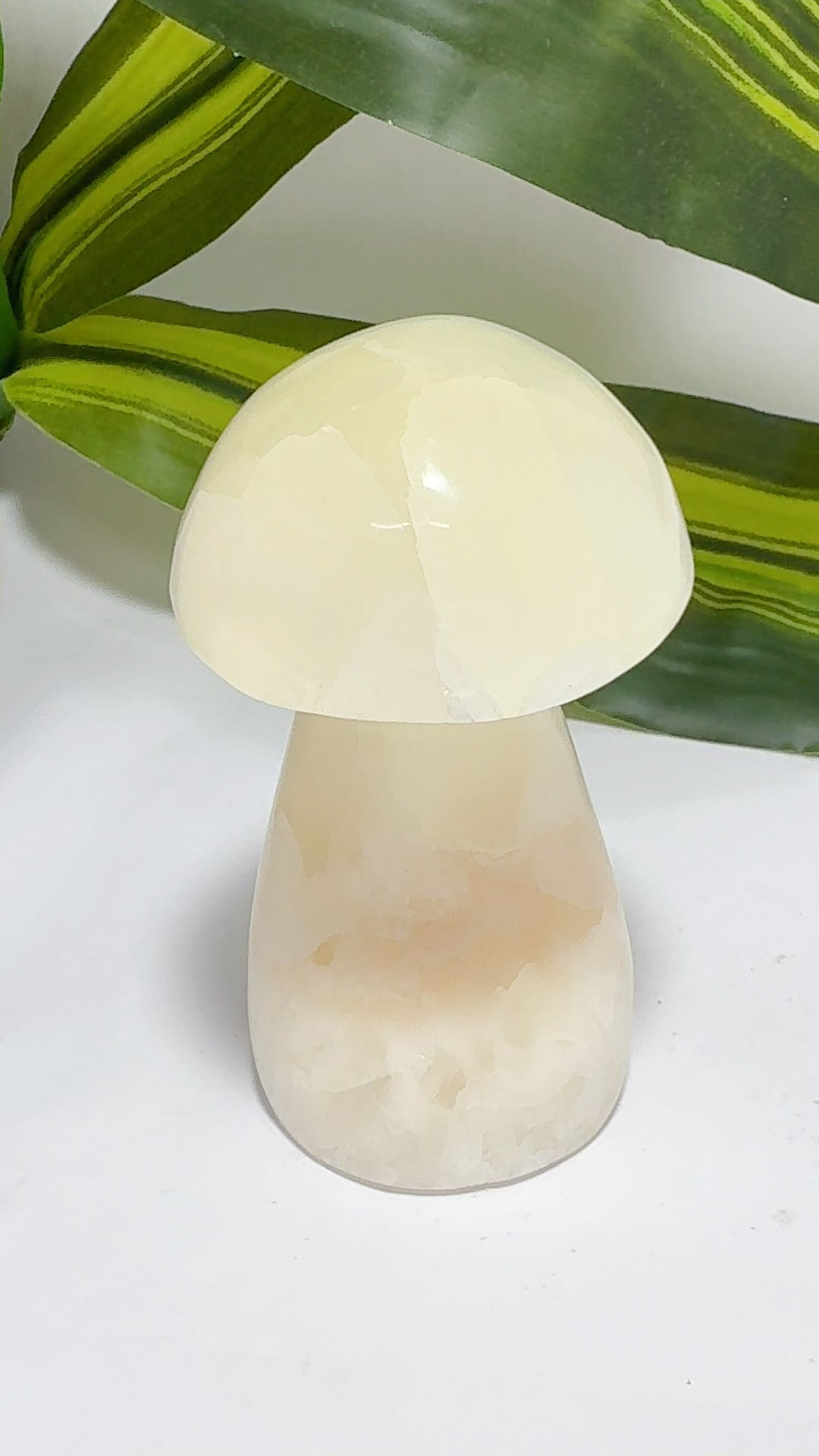 Lemon Calcite Mushroom 236g