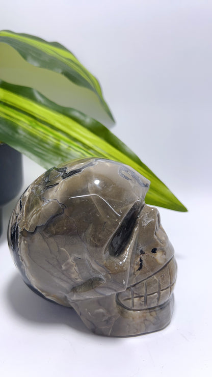 Volcanic Agate Skull 1156g