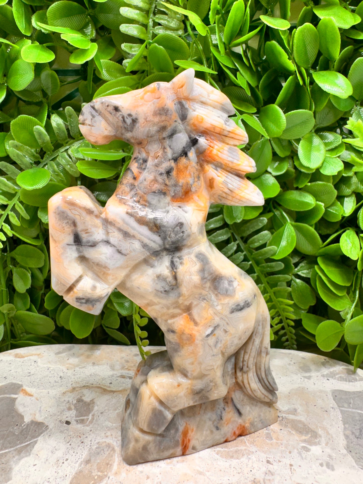 Crazy Lace Agate Horse 410g