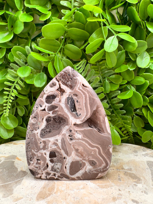 Chocolate Aragonite Freeform 444g