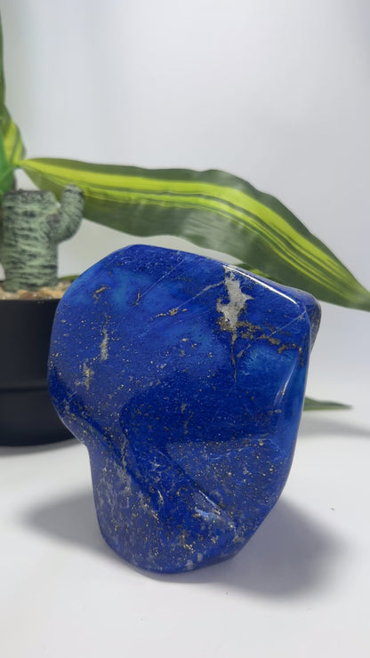 Lapis Lazuli Freeform 1586g