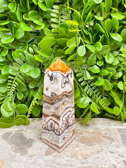 Dendritic Ocean Root Jasper Towers 309g