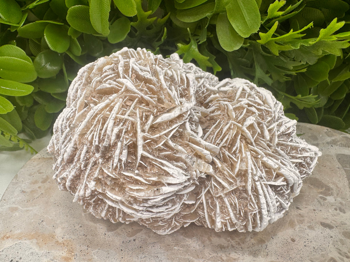 Desert Rose Selenite Cluster  1004g