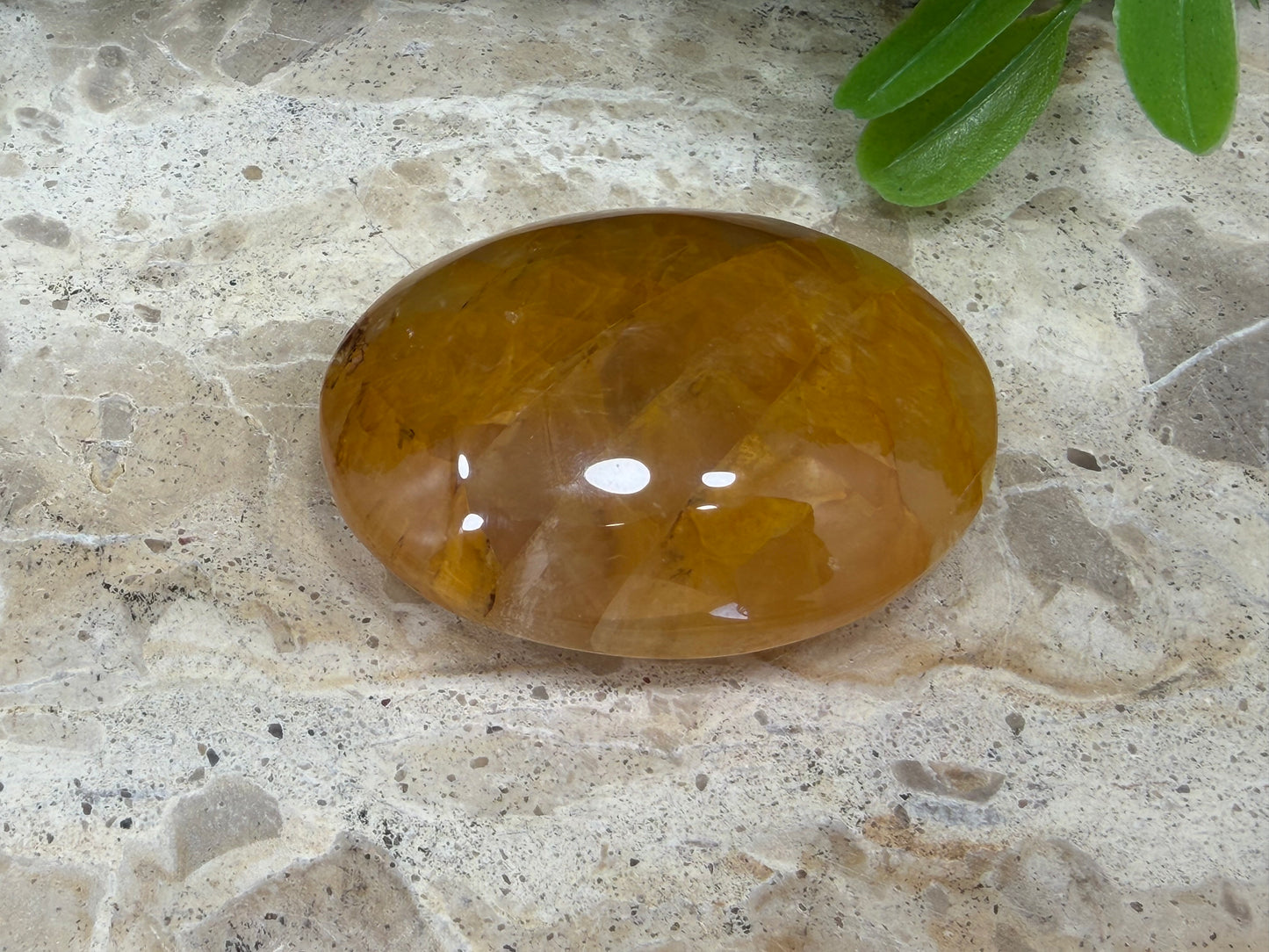 Golden Healer Palm Stone 80g
