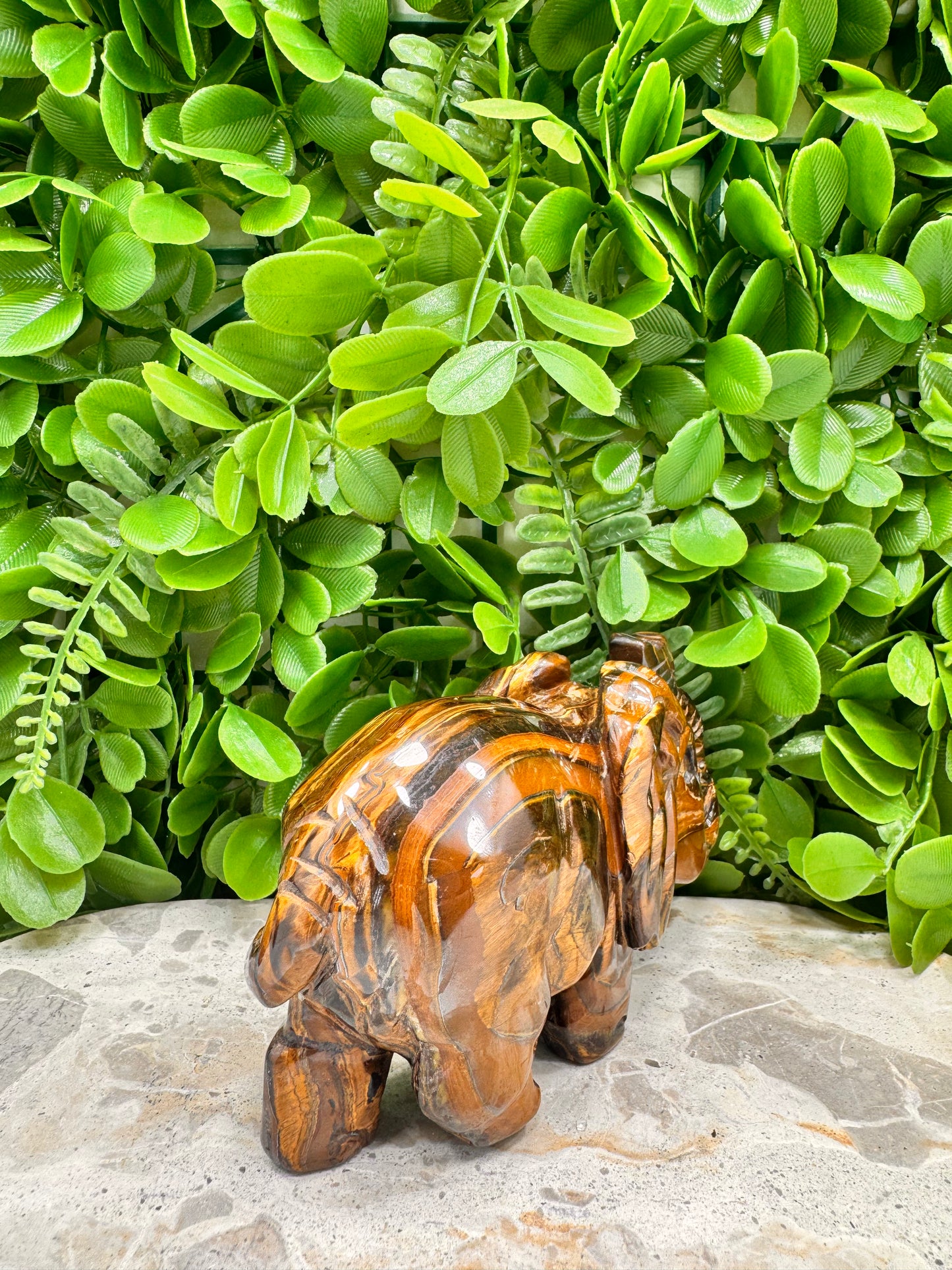 Tiger Eye/Tiger Ore Elephant 704g